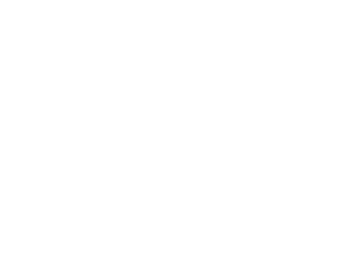 Ibis Irapuato