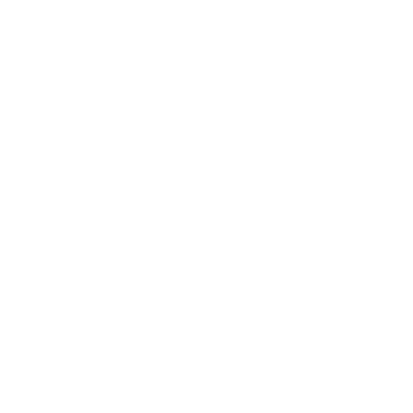 Ibis Irapuato
